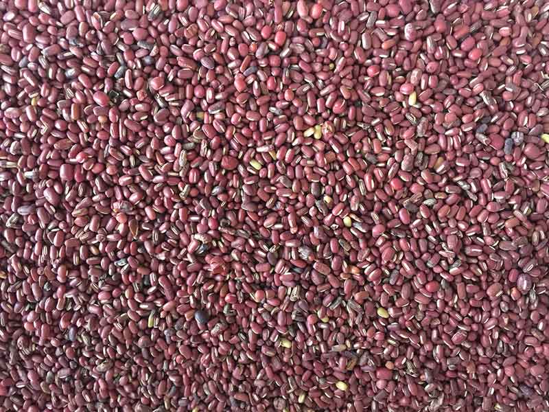 色选机|食品色选机|再生资源色选机|矿石色选机|履带色选机