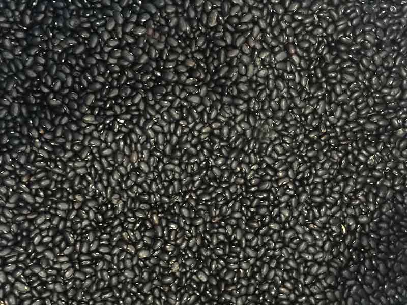 色选机|食品色选机|再生资源色选机|矿石色选机|履带色选机