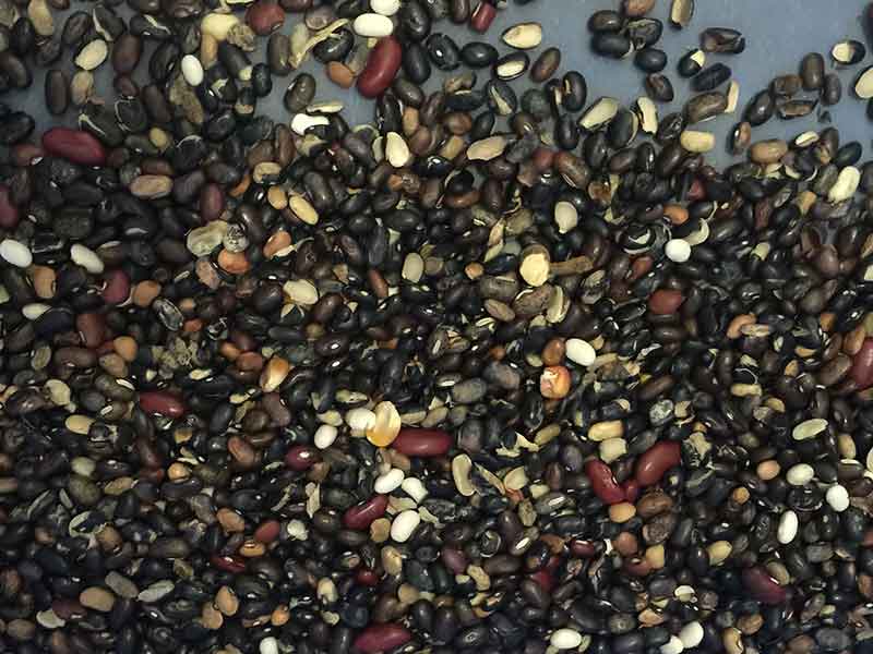 色选机|食品色选机|再生资源色选机|矿石色选机|履带色选机