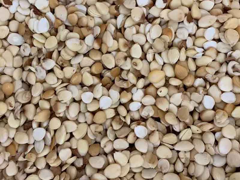 色选机|食品色选机|再生资源色选机|矿石色选机|履带色选机