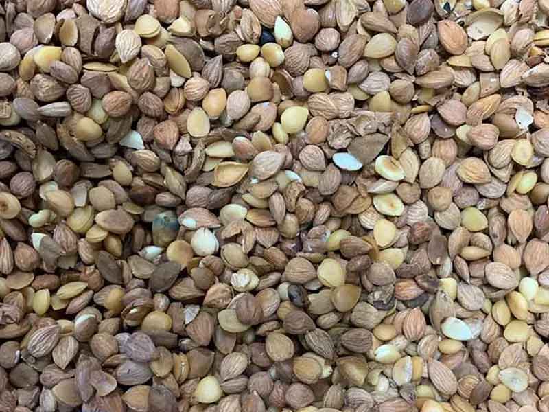 色选机|食品色选机|再生资源色选机|矿石色选机|履带色选机