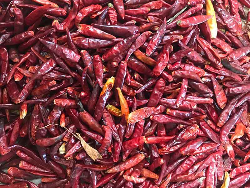 色选机|食品色选机|再生资源色选机|矿石色选机|履带色选机