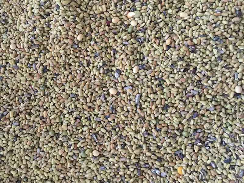 色选机|食品色选机|再生资源色选机|矿石色选机|履带色选机