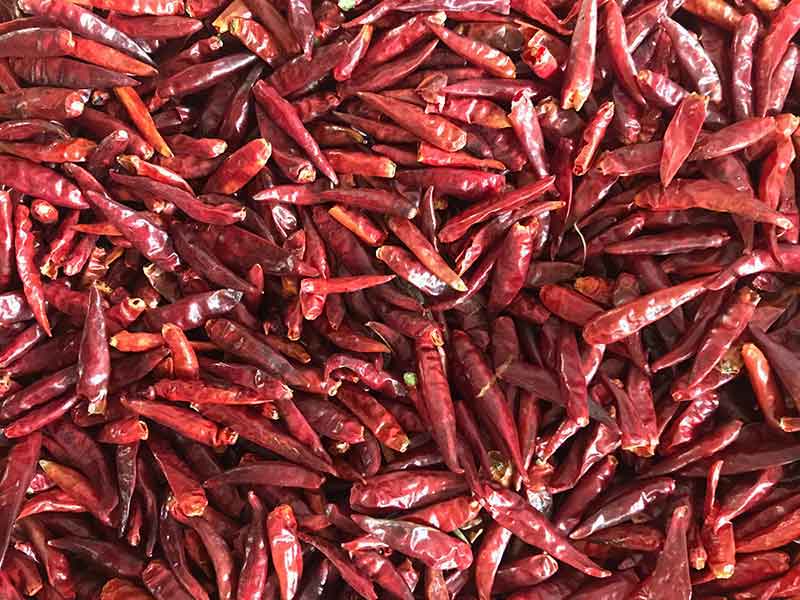 色选机|食品色选机|再生资源色选机|矿石色选机|履带色选机