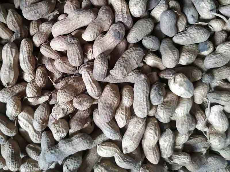 色选机|食品色选机|再生资源色选机|矿石色选机|履带色选机