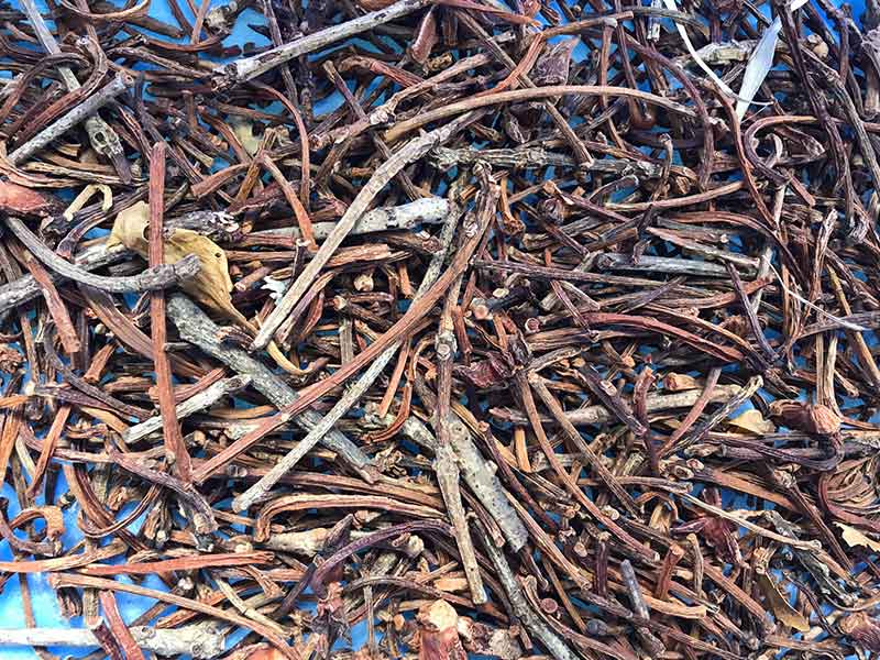 色选机|食品色选机|再生资源色选机|矿石色选机|履带色选机