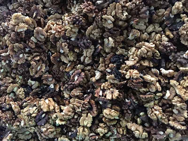 色选机|食品色选机|再生资源色选机|矿石色选机|履带色选机