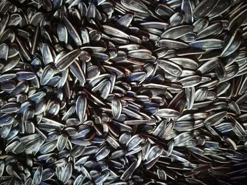 色选机|食品色选机|再生资源色选机|矿石色选机|履带色选机