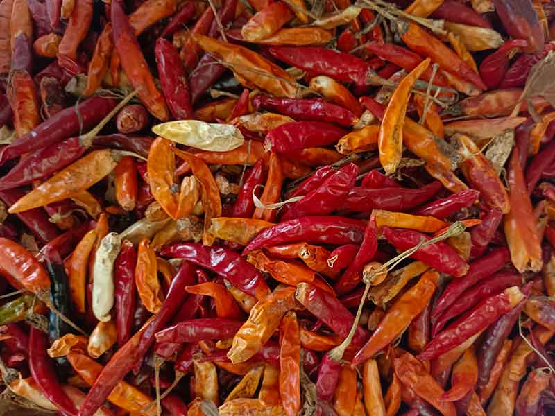 色选机|食品色选机|再生资源色选机|矿石色选机|履带色选机