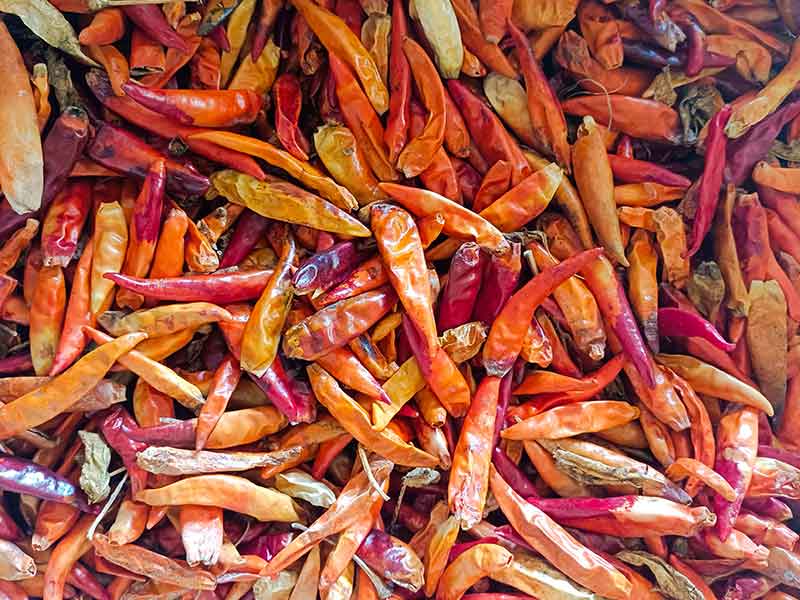 色选机|食品色选机|再生资源色选机|矿石色选机|履带色选机