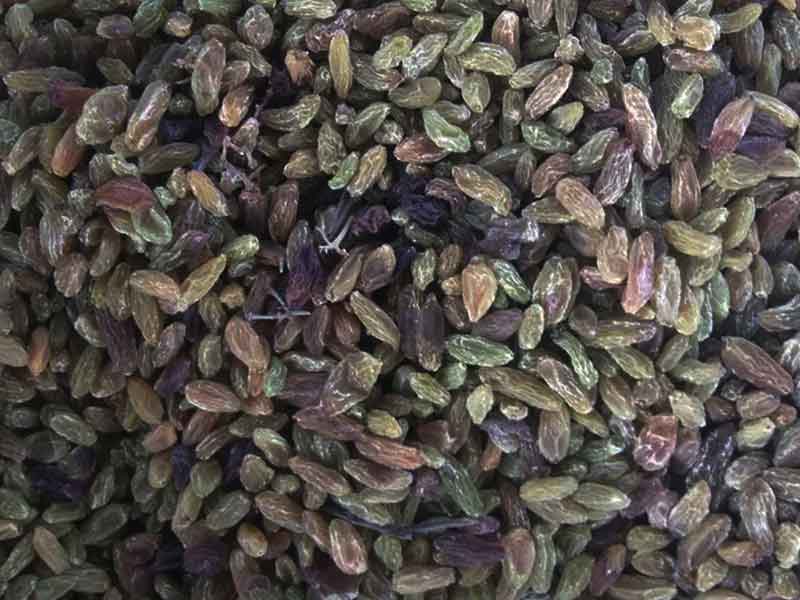 色选机|食品色选机|再生资源色选机|矿石色选机|履带色选机