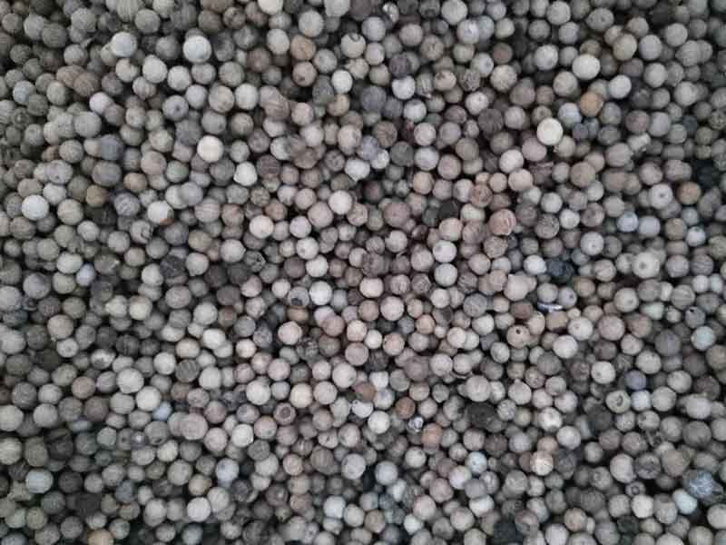 色选机|食品色选机|再生资源色选机|矿石色选机|履带色选机