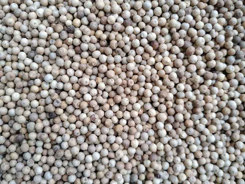 色选机|食品色选机|再生资源色选机|矿石色选机|履带色选机