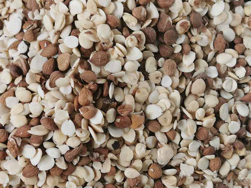 色选机|食品色选机|再生资源色选机|矿石色选机|履带色选机