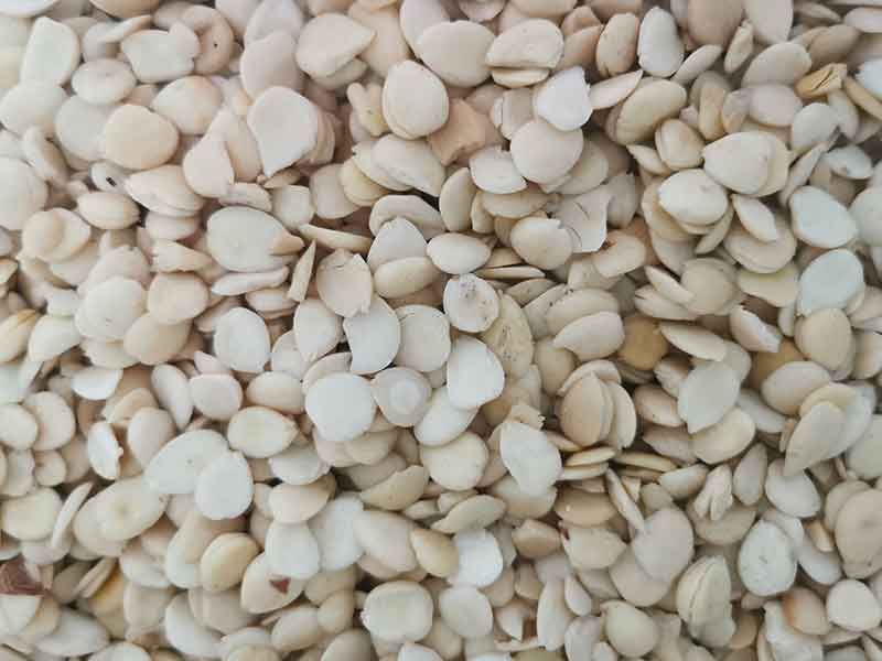 色选机|食品色选机|再生资源色选机|矿石色选机|履带色选机