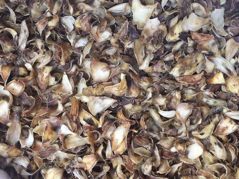 色选机|食品色选机|再生资源色选机|矿石色选机|履带色选机