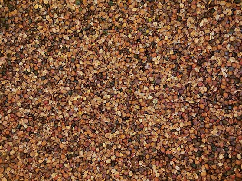 色选机|食品色选机|再生资源色选机|矿石色选机|履带色选机