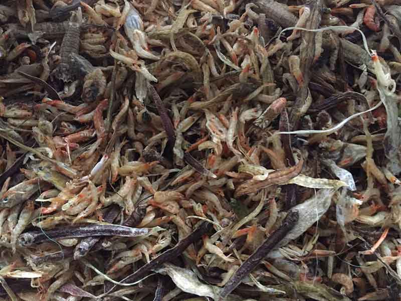 色选机|食品色选机|再生资源色选机|矿石色选机|履带色选机