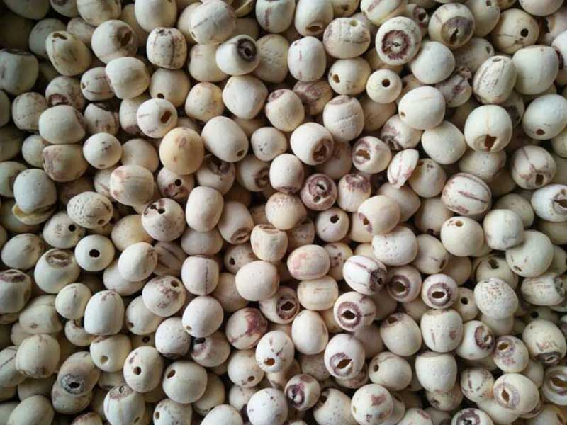 色选机|食品色选机|再生资源色选机|矿石色选机|履带色选机