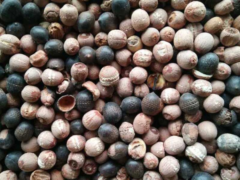 色选机|食品色选机|再生资源色选机|矿石色选机|履带色选机