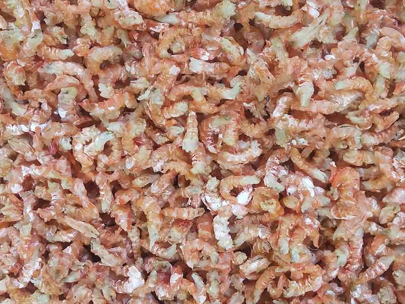 色选机|食品色选机|再生资源色选机|矿石色选机|履带色选机