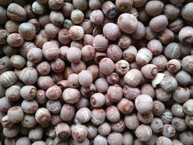 色选机|食品色选机|再生资源色选机|矿石色选机|履带色选机