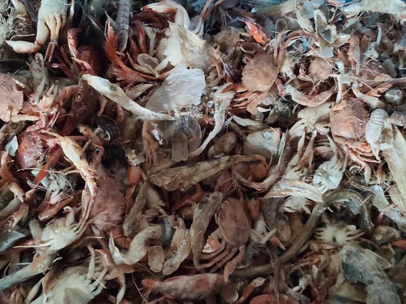 色选机|食品色选机|再生资源色选机|矿石色选机|履带色选机