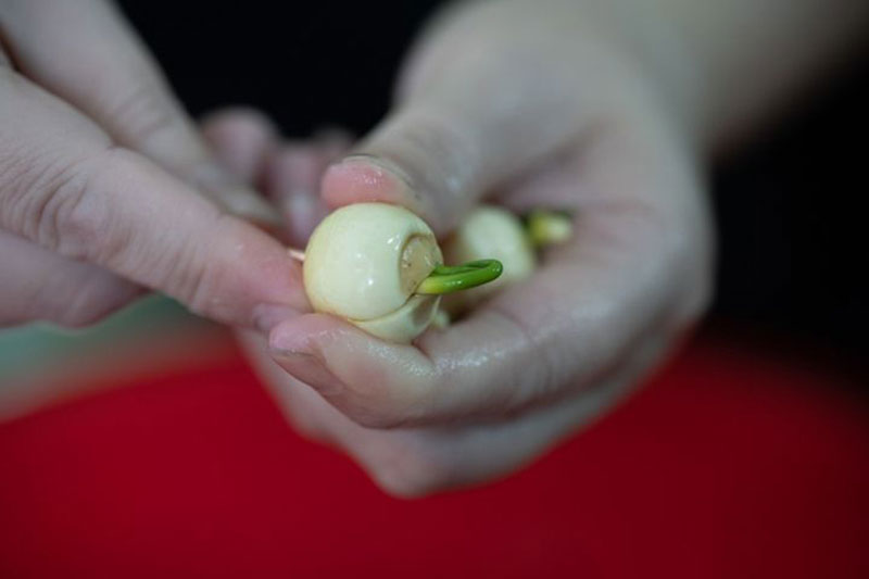 色选机|食品色选机|再生资源色选机|矿石色选机|履带色选机
