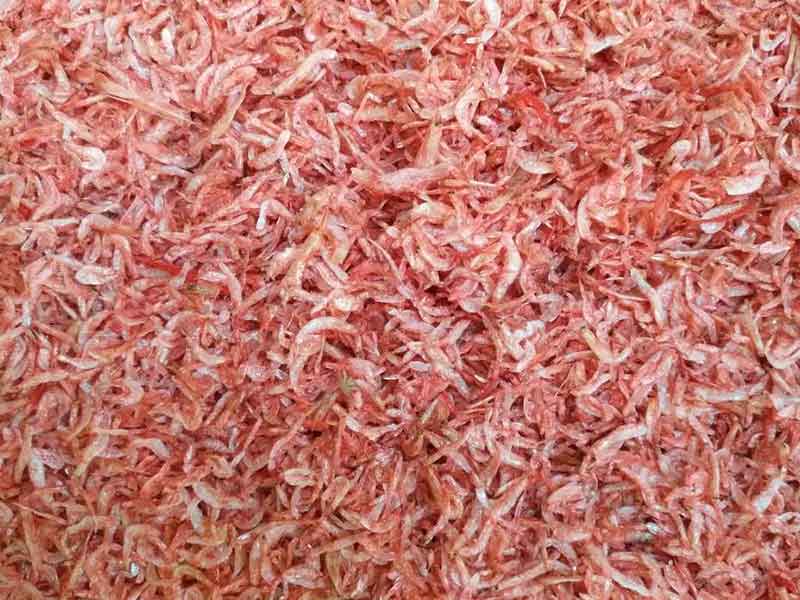 色选机|食品色选机|再生资源色选机|矿石色选机|履带色选机