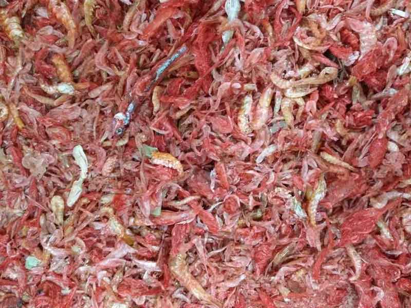 色选机|食品色选机|再生资源色选机|矿石色选机|履带色选机