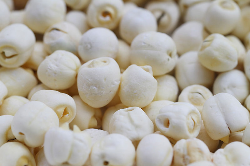 色选机|食品色选机|再生资源色选机|矿石色选机|履带色选机