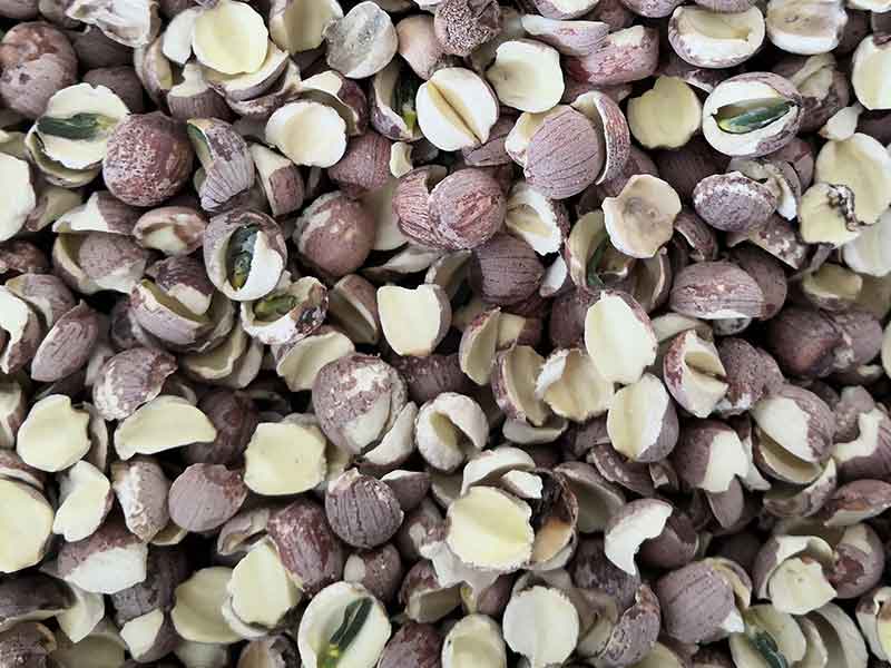 色选机|食品色选机|再生资源色选机|矿石色选机|履带色选机