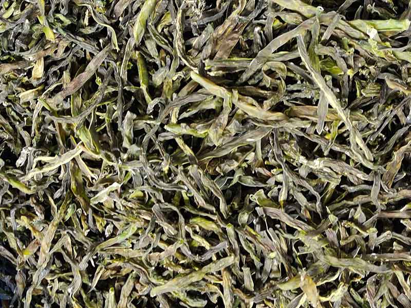 色选机|食品色选机|再生资源色选机|矿石色选机|履带色选机