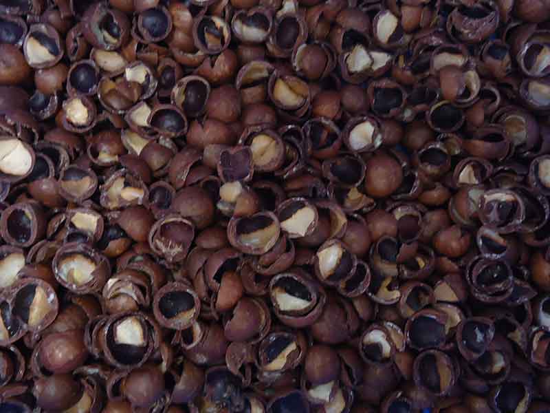 色选机|食品色选机|再生资源色选机|矿石色选机|履带色选机