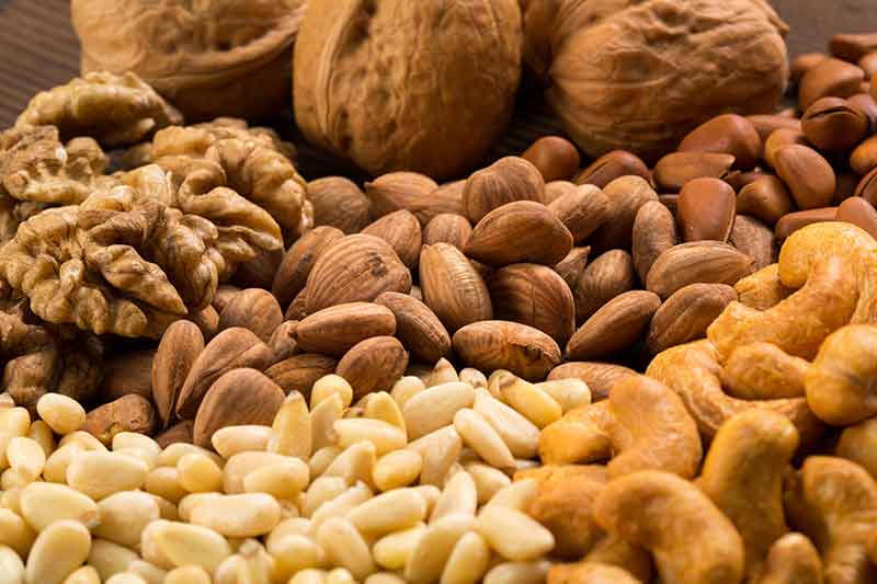 色选机|食品色选机|再生资源色选机|矿石色选机|履带色选机