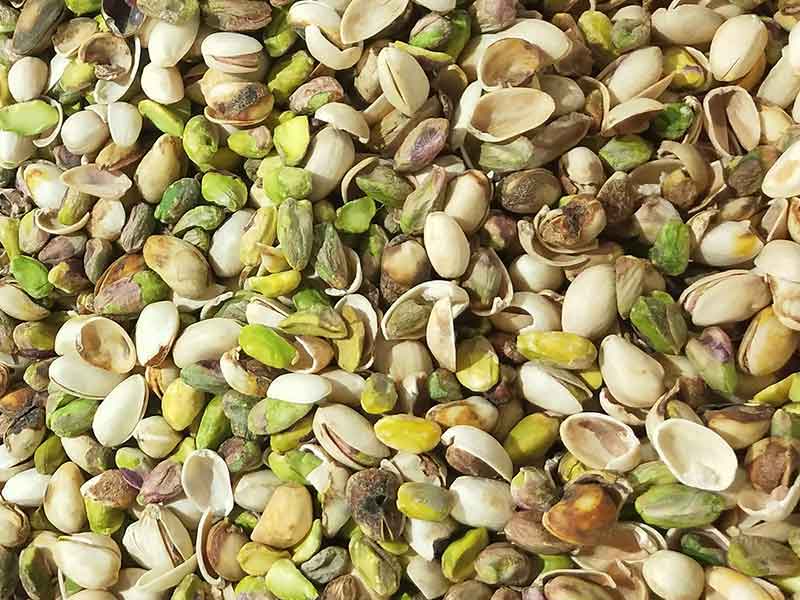 色选机|食品色选机|再生资源色选机|矿石色选机|履带色选机