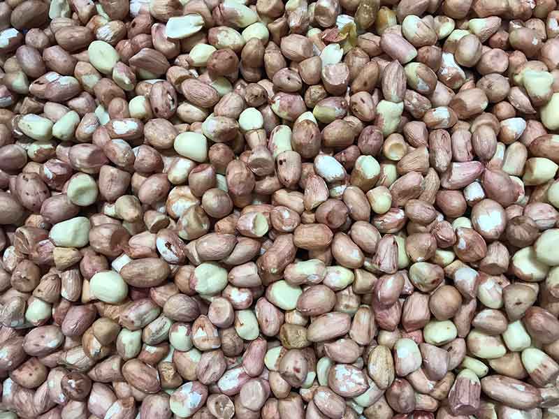 色选机|食品色选机|再生资源色选机|矿石色选机|履带色选机