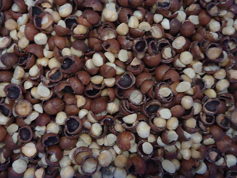 色选机|食品色选机|再生资源色选机|矿石色选机|履带色选机