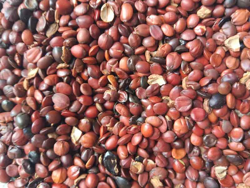 色选机|食品色选机|再生资源色选机|矿石色选机|履带色选机