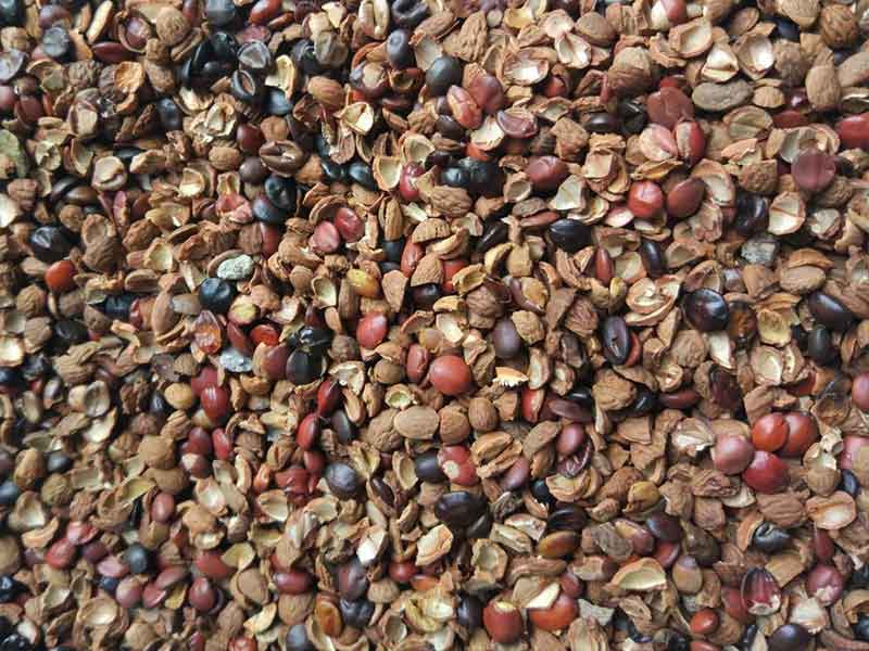 色选机|食品色选机|再生资源色选机|矿石色选机|履带色选机