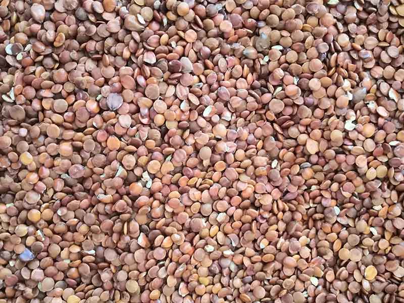 色选机|食品色选机|再生资源色选机|矿石色选机|履带色选机