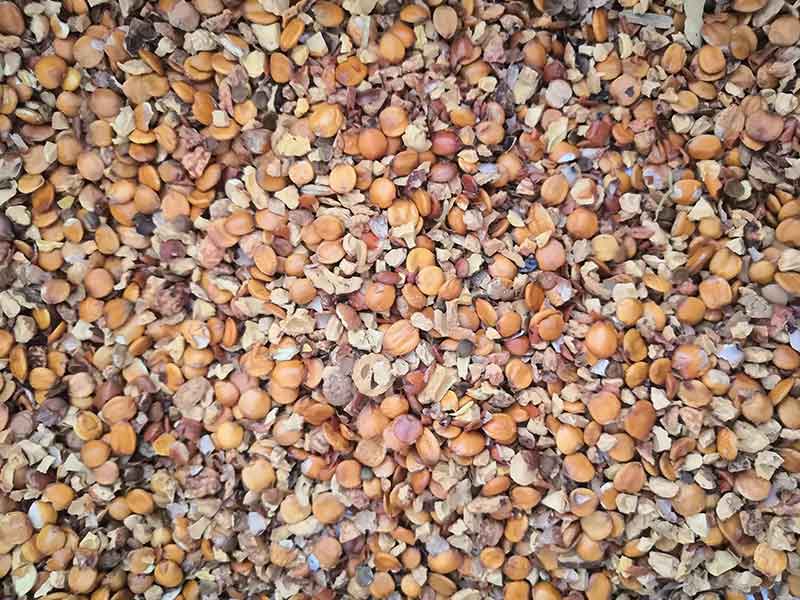 色选机|食品色选机|再生资源色选机|矿石色选机|履带色选机