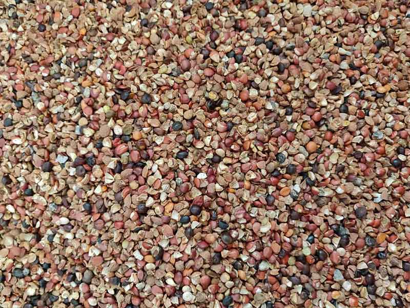 色选机|食品色选机|再生资源色选机|矿石色选机|履带色选机