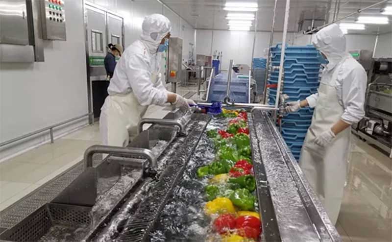 色选机|食品色选机|再生资源色选机|矿石色选机|履带色选机