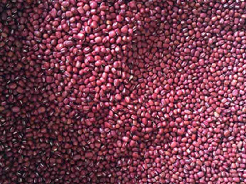 色选机|食品色选机|再生资源色选机|矿石色选机|履带色选机