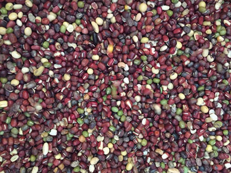 色选机|食品色选机|再生资源色选机|矿石色选机|履带色选机