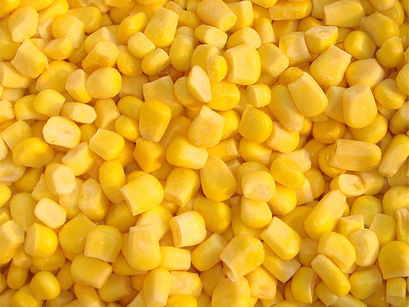 色选机|食品色选机|再生资源色选机|矿石色选机|履带色选机