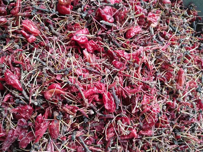 色选机|食品色选机|再生资源色选机|矿石色选机|履带色选机