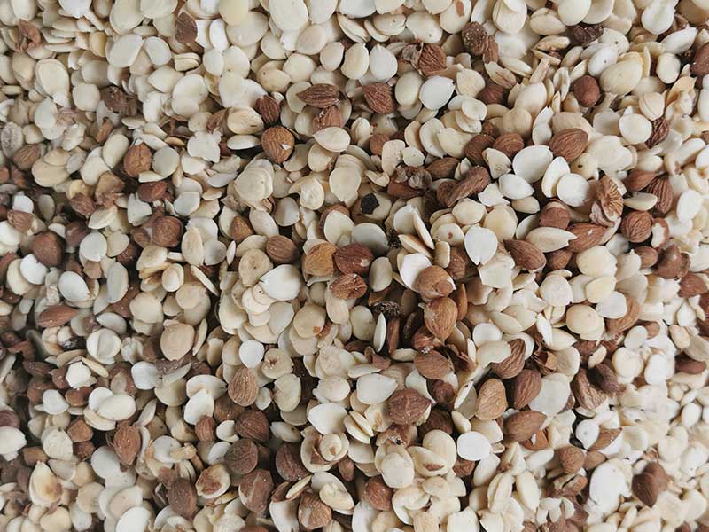 色选机|食品色选机|再生资源色选机|矿石色选机|履带色选机