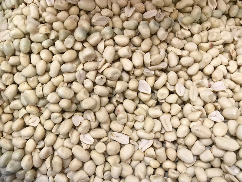 色选机|食品色选机|再生资源色选机|矿石色选机|履带色选机